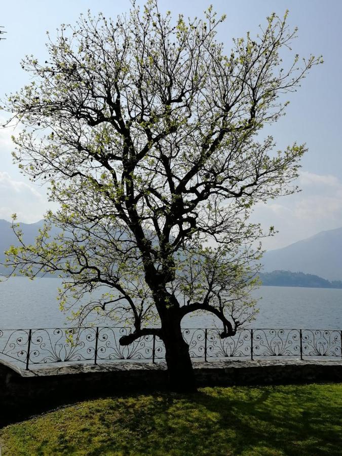 L'Antico Borgo, Un Mix Di Storia E Romanticismo Lierna Exterior foto